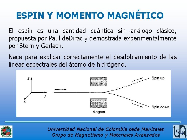 ESPIN Y MOMENTO MAGNÉTICO El espín es una cantidad cuántica sin análogo clásico, propuesta