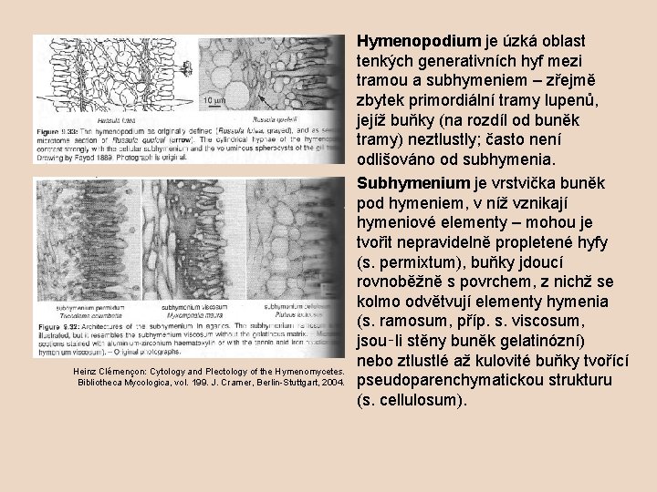 Heinz Clémençon: Cytology and Plectology of the Hymenomycetes. Bibliotheca Mycologica, vol. 199. J. Cramer,