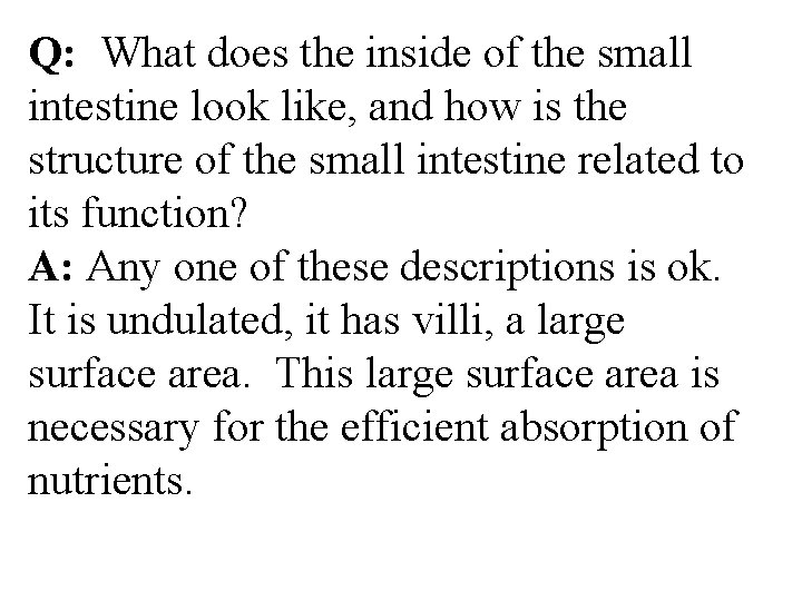 Q: What does the inside of the small intestine look like, and how is