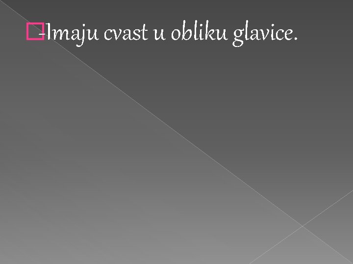 �-Imaju cvast u obliku glavice. 