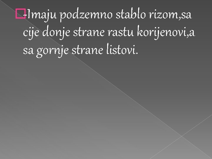 �-Imaju podzemno stablo rizom, sa cije donje strane rastu korijenovi, a sa gornje strane