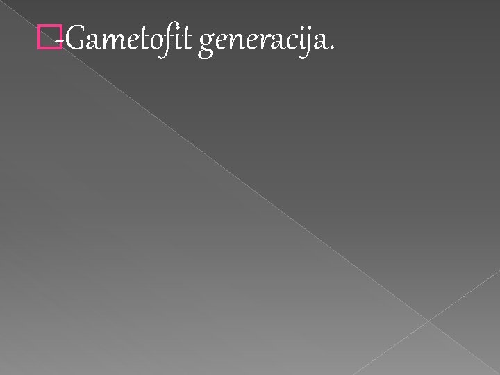 �-Gametofit generacija. 