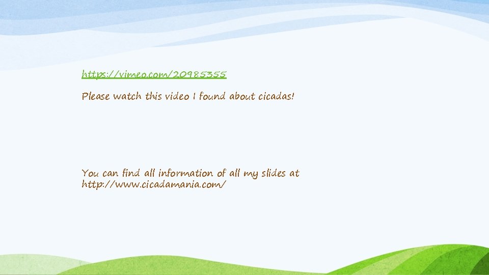 https: //vimeo. com/20985355 Please watch this video I found about cicadas! You can find