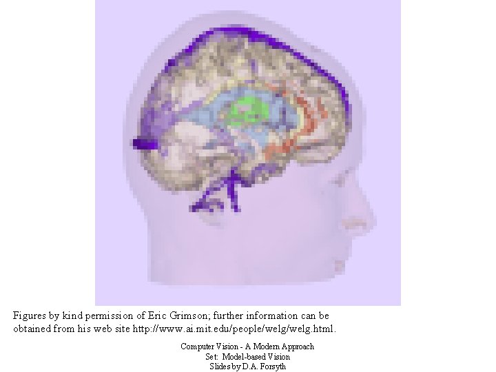 Figures by kind permission of Eric Grimson; further information can be obtained from his