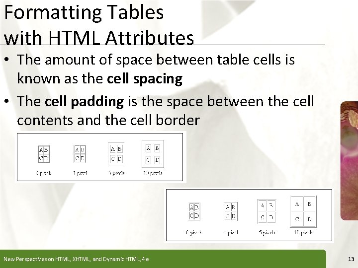 Formatting Tables with HTML Attributes XP • The amount of space between table cells Formatting Tables with HTML Attributes XP • The amount of space between table cells