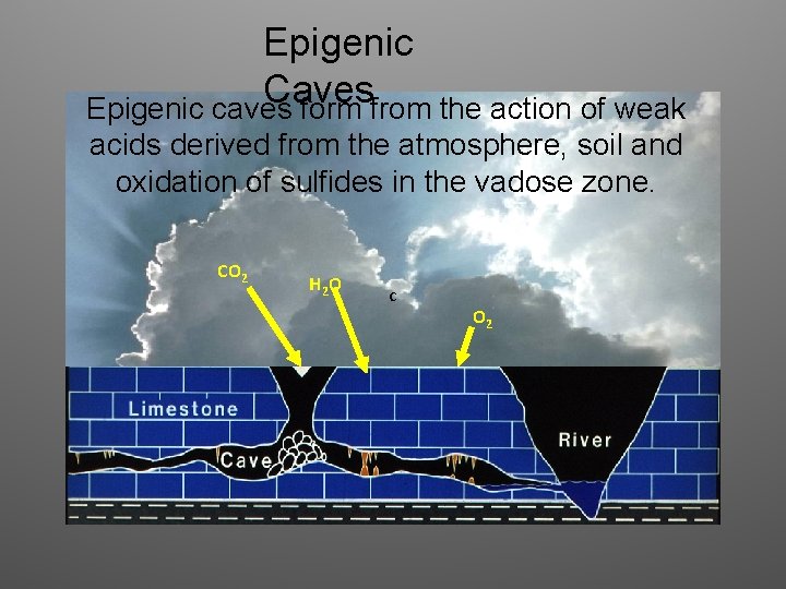 Epigenic Caves Epigenic caves form from the action of weak acids derived from the