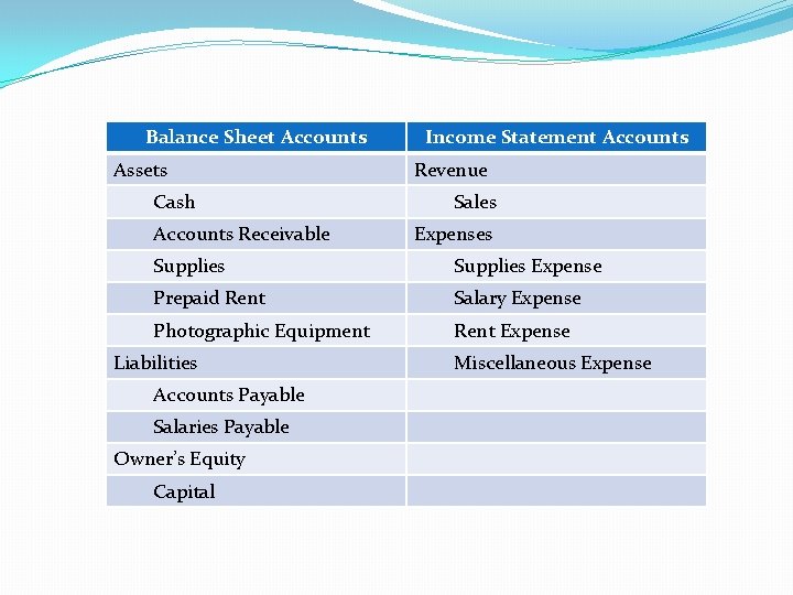 Balance Sheet Accounts Assets Cash Accounts Receivable Income Statement Accounts Revenue Sales Expenses Supplies