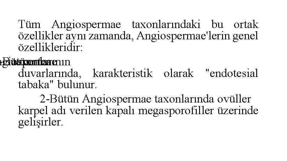 Tüm Angiospermae taxonlarındaki bu ortak özellikler aynı zamanda, Angiospermae'lerin genel özellikleridir: ngiospermae -Bütün taxonlarının