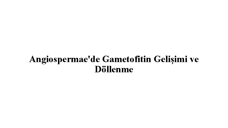 Angiospermae'de Gametofitin Gelişimi ve Döllenme 