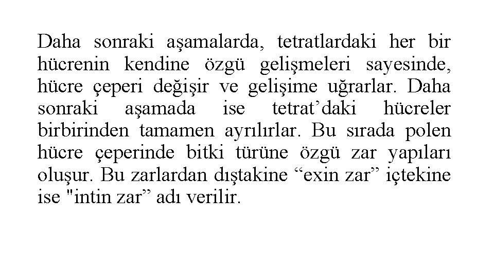 Daha sonraki aşamalarda, tetratlardaki her bir hücrenin kendine özgü gelişmeleri sayesinde, hücre çeperi değişir