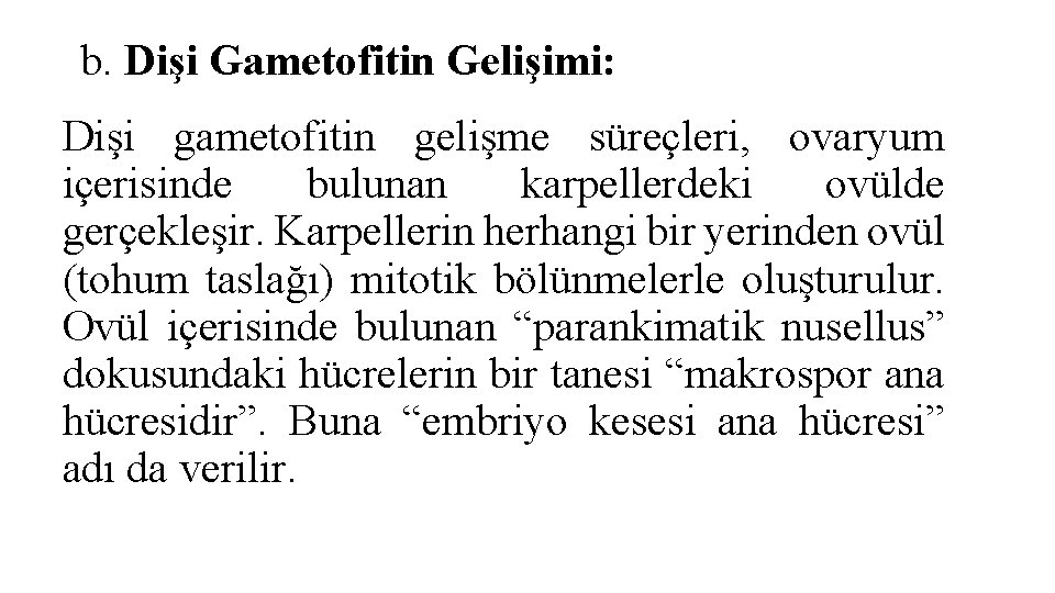 b. Dişi Gametofitin Gelişimi: Dişi gametofitin gelişme süreçleri, ovaryum içerisinde bulunan karpellerdeki ovülde gerçekleşir.