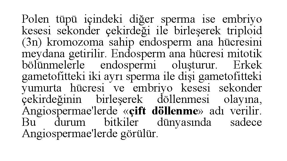 Polen tüpü içindeki diğer sperma ise embriyo kesesi sekonder çekirdeği ile birleşerek triploid (3