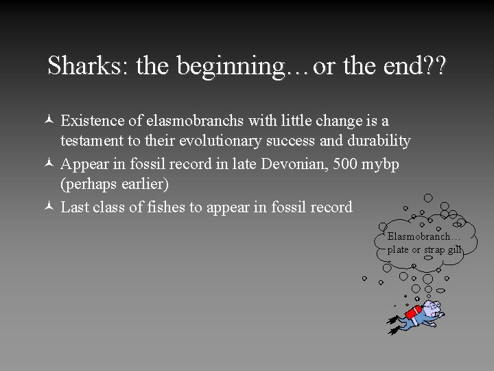 Sharks: the beginning…or the end? ? © Existence of elasmobranchs with little change is