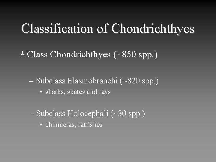 Classification of Chondrichthyes ©Class Chondrichthyes (~850 spp. ) – Subclass Elasmobranchi (~820 spp. )