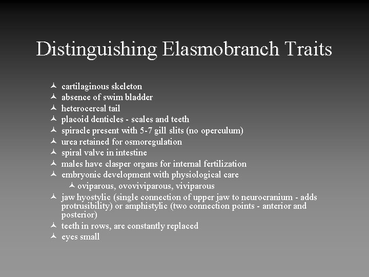 Distinguishing Elasmobranch Traits © cartilaginous skeleton © absence of swim bladder © heterocercal tail