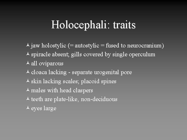 Holocephali: traits ©jaw holostylic (= autostylic = fused to neurocranium) ©spiracle absent; gills covered