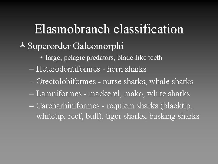 Elasmobranch classification ©Superorder Galeomorphi • large, pelagic predators, blade-like teeth – Heterodontiformes - horn