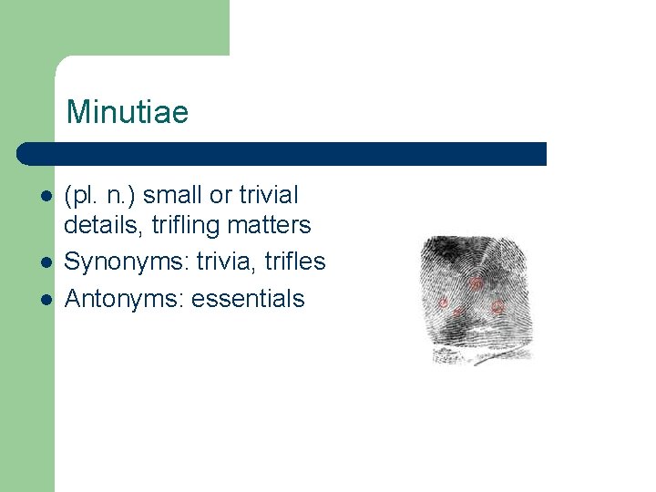 Minutiae l l l (pl. n. ) small or trivial details, trifling matters Synonyms: