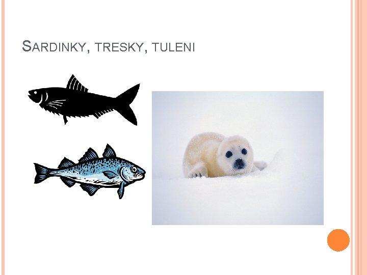 SARDINKY, TRESKY, TULENI 