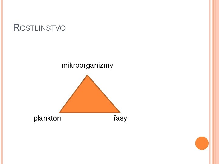 ROSTLINSTVO mikroorganizmy plankton řasy 