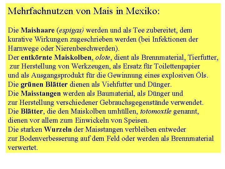 Mehrfachnutzen von Mais in Mexiko: Die Maishaare (espigas) werden und als Tee zubereitet, dem