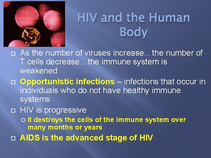 HIV and the Human Body As the number of viruses increase…the number of T