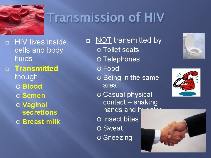Transmission of HIV lives inside cells and body fluids Transmitted though… Blood Semen Vaginal