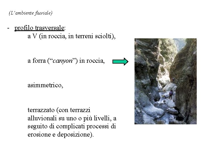 (L’ambiente fluviale) - profilo trasversale: a V (in roccia, in terreni sciolti), a forra