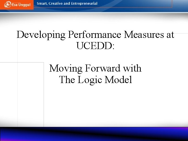 Developing Performance Measures at UCEDD: Moving Forward with The Logic Model 