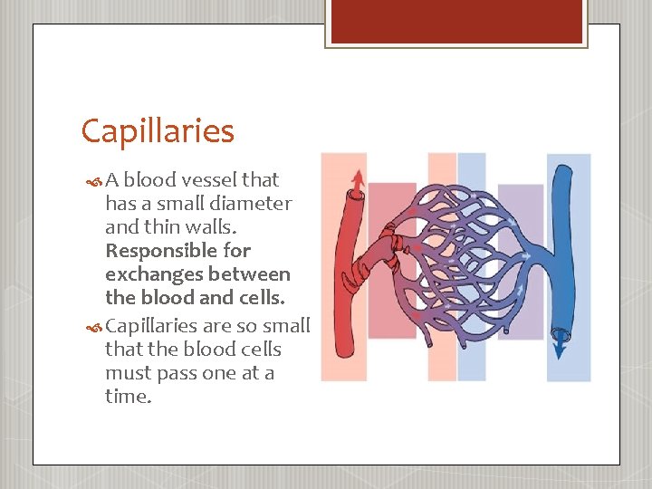 Capillaries A blood vessel that has a small diameter and thin walls. Responsible for
