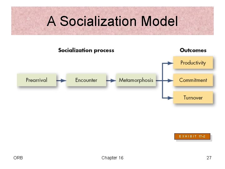 A Socialization Model E X H I B I T 17– 2 ORB Chapter