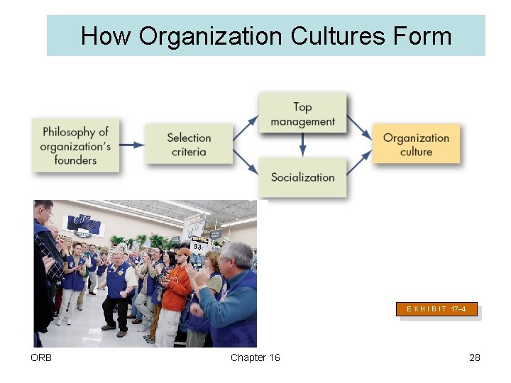 How Organization Cultures Form E X H I B I T 17– 4 ORB