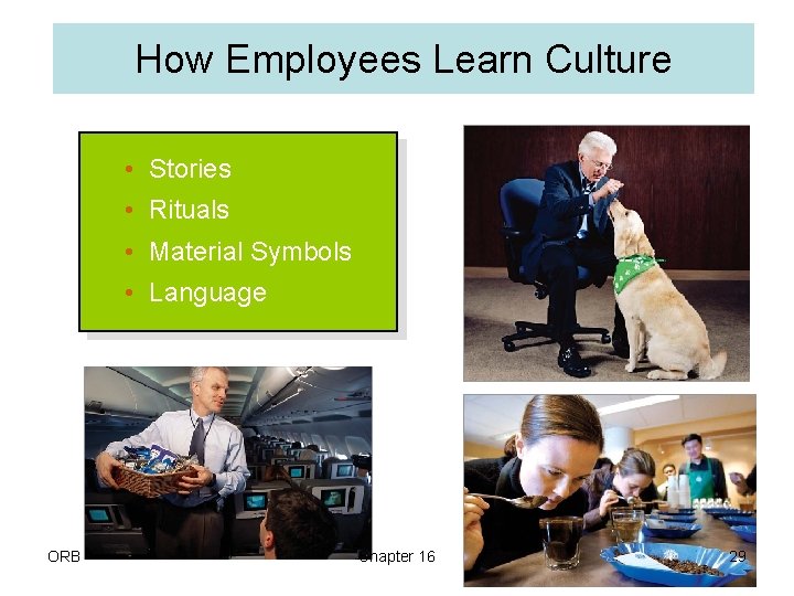 How Employees Learn Culture • Stories • Rituals • Material Symbols • Language ORB