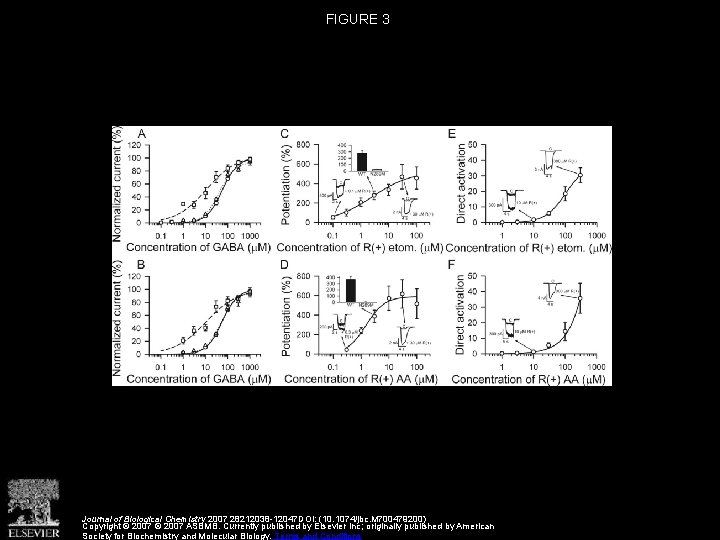 FIGURE 3 Journal of Biological Chemistry 2007 28212038 -12047 DOI: (10. 1074/jbc. M 700479200)
