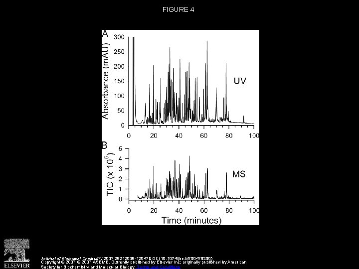 FIGURE 4 Journal of Biological Chemistry 2007 28212038 -12047 DOI: (10. 1074/jbc. M 700479200)