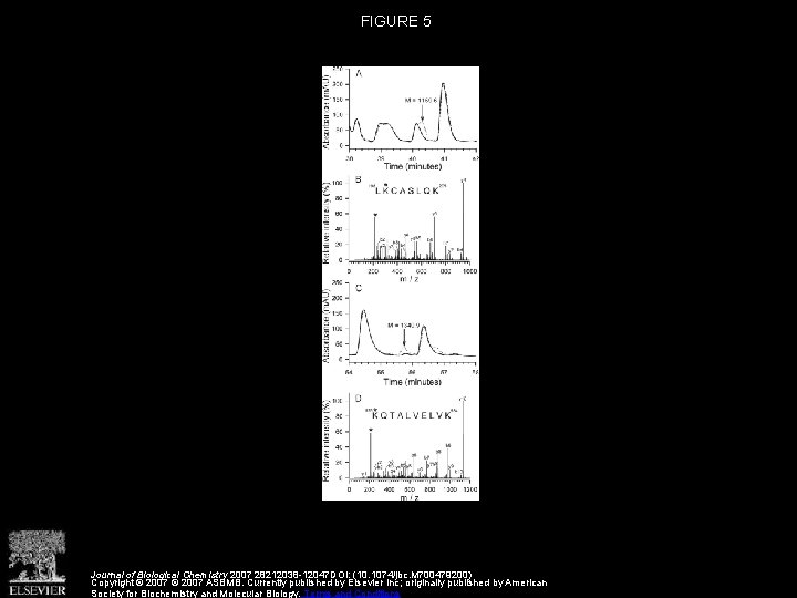 FIGURE 5 Journal of Biological Chemistry 2007 28212038 -12047 DOI: (10. 1074/jbc. M 700479200)