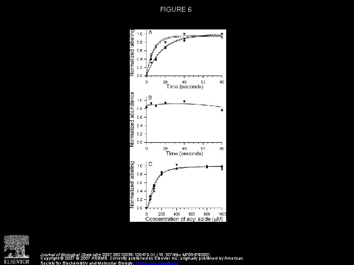 FIGURE 6 Journal of Biological Chemistry 2007 28212038 -12047 DOI: (10. 1074/jbc. M 700479200)