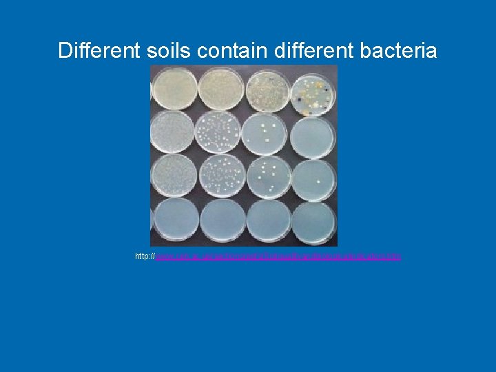 Different soils contain different bacteria http: //www. ceh. ac. uk/sections/epfs/Soilqualityandbiologicalindicators. htm 