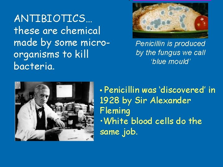 ANTIBIOTICS… these are chemical made by some microorganisms to kill bacteria. Penicillin is produced