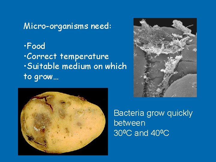Micro-organisms need: • Food • Correct temperature • Suitable medium on which to grow…