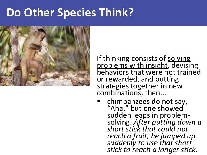 Do Other Species Think? If thinking consists of solving problems with insight, devising behaviors