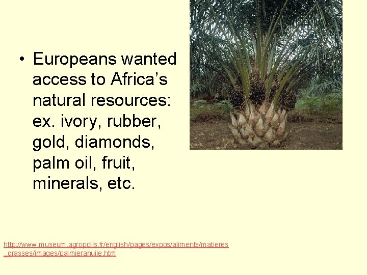 • Europeans wanted access to Africa’s natural resources: ex. ivory, rubber, gold, diamonds,