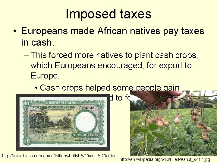 Imposed taxes • Europeans made African natives pay taxes in cash. – This forced
