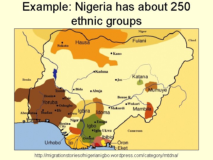 Example: Nigeria has about 250 ethnic groups http: //migrationstoriesofnigerianigbo. wordpress. com/category/mtdna/ 