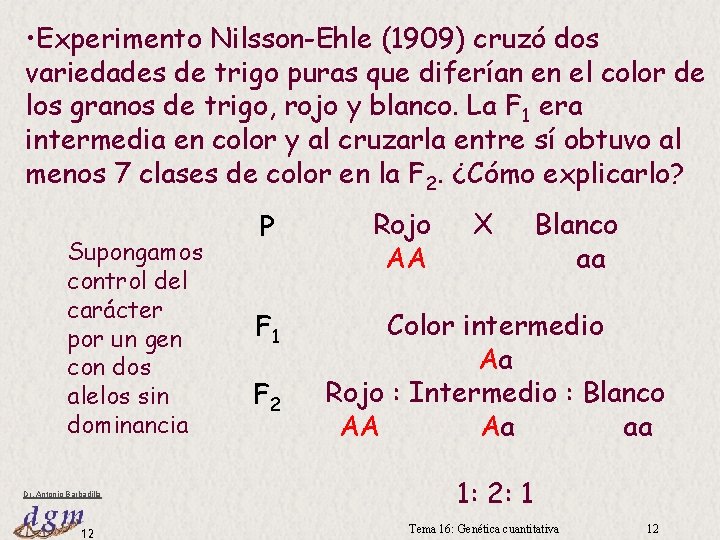  • Experimento Nilsson-Ehle (1909) cruzó dos variedades de trigo puras que diferían en