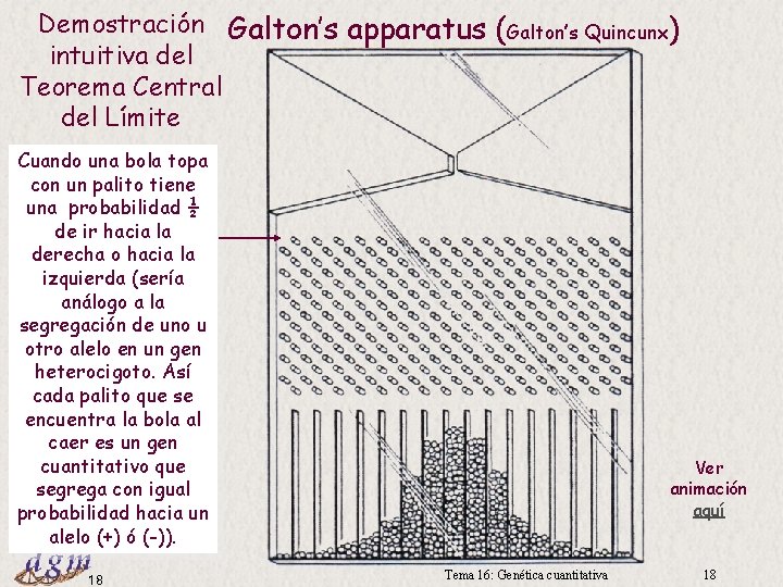 Demostración Galton’s apparatus (Galton’s Quincunx) intuitiva del Teorema Central del Límite Cuando una bola