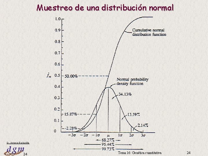 Muestreo de una distribución normal Dr. Antonio Barbadilla 24 Tema 16: Genética cuantitativa 24