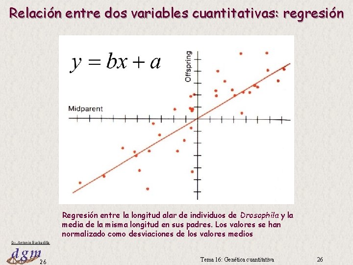 Relación entre dos variables cuantitativas: regresión Regresión entre la longitud alar de individuos de