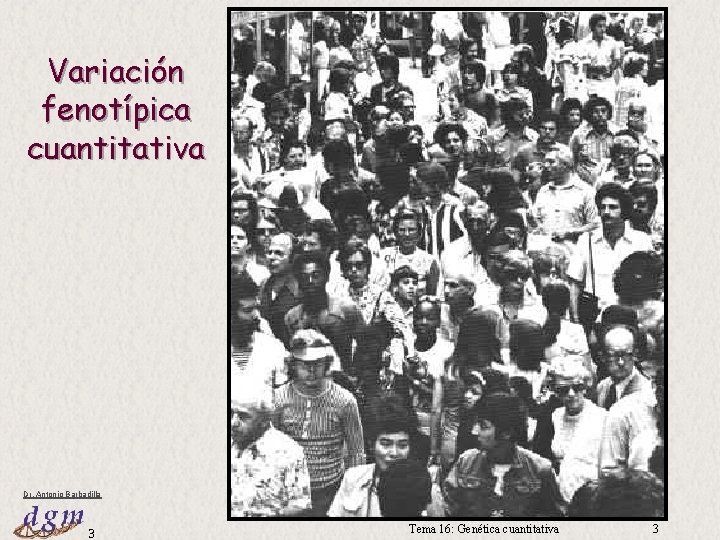 Variación fenotípica cuantitativa Dr. Antonio Barbadilla 3 Tema 16: Genética cuantitativa 3 