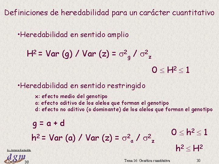 Definiciones de heredabilidad para un carácter cuantitativo • Heredabilidad en sentido amplio H 2